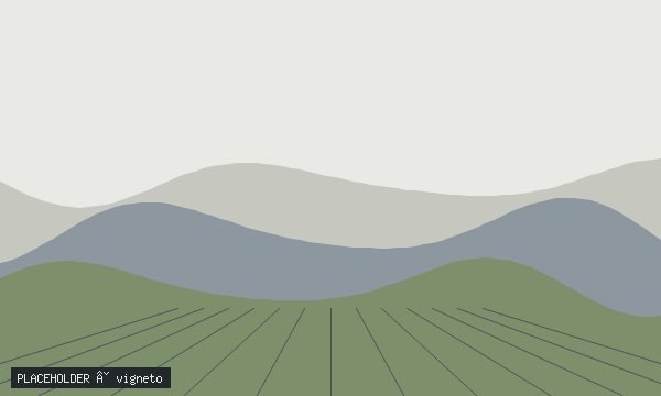 vigneto